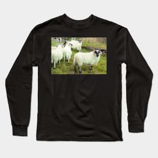 Mountain sheep. Long Sleeve T-Shirt